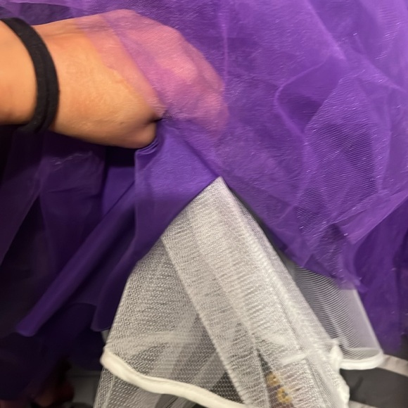 Only used one for sweet 15 but can be used for prom - Picture 5 of 5